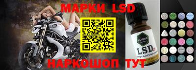 шишки Будённовск