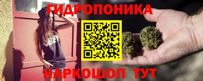 шишки Бузулук