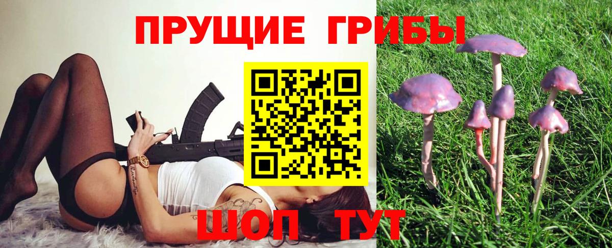Псилоцибиновые грибы мухоморы Пенза